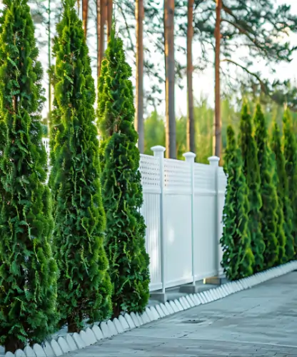 Ein weißer, hoher Gartenzaun steht hinter gepflegten Zypressen als Symbolbild für professionellen Gartenzaunbau.