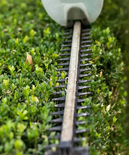 Professioneller Heckenschnitt mittels Akkuheckenschere – sorgfältige Heckenpflege von Nielsen Garten- & Hausmeisterservice
